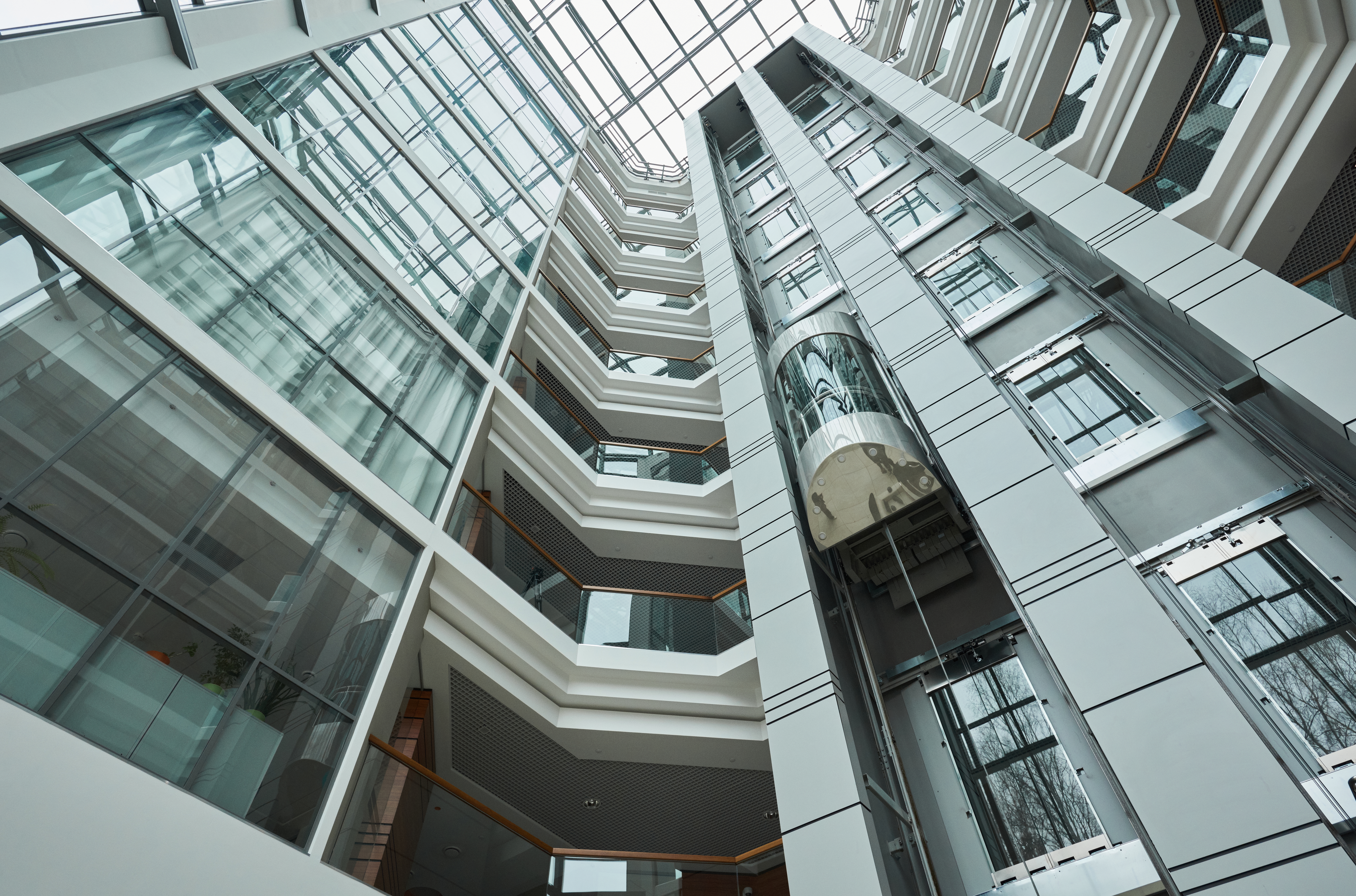 Юридическая проверка и форензик